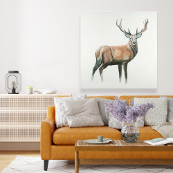 Toile 48 x 48 - Chevreuil
