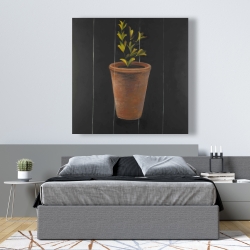 Canvas 48 x 48 - Plant of marjolaine