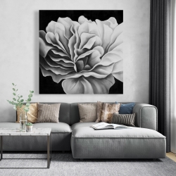 Canvas 48 x 48 - Beautiful black and white flower