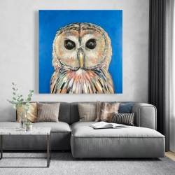 Canvas 48 x 48 - Colorful spotted owl