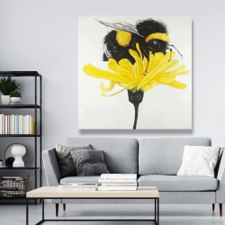 Canvas 48 x 48 - Bumblebee on a dandelion