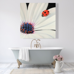 Canvas 48 x 48 - White daisy and ladybug