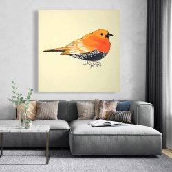Canvas 48 x 48 - Little orange bird illustration
