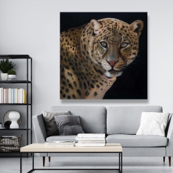 Canvas 48 x 48 - Realistic fierce leopard