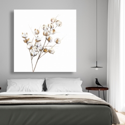 Canvas 48 x 48 - A branch of cotton flowers