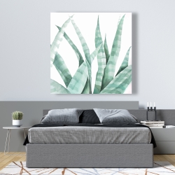 Canvas 48 x 48 - Watercolor striped desert plant