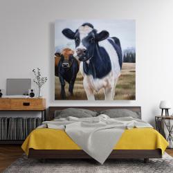 Canvas 48 x 48 - Two cows eating grass