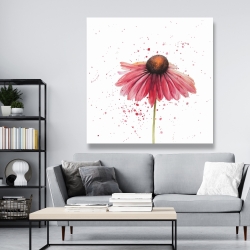 Canvas 48 x 48 - Pink daisy