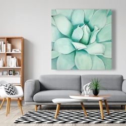 Canvas 48 x 48 - Succulent closeup