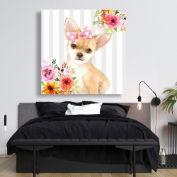Canvas 48 x 48 - Chihuahua dog