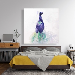 Canvas 48 x 48 - Graceful peacock