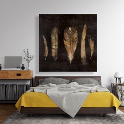 Toile 48 x 48 - Ensemble de plumes brunes