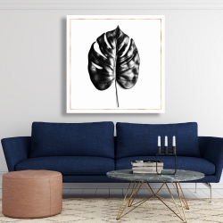 Canvas 48 x 48 - Split leaf philodendron with rose line