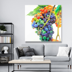 Canvas 48 x 48 - Colorful bunch of grapes