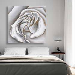 Toile 48 x 48 - Centre d'une rose blanche