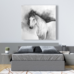 Toile 48 x 48 - Domino le cheval
