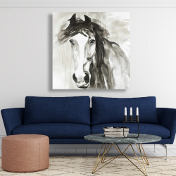 Toile 48 x 48 - Magnifique cheval sauvage