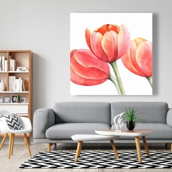 Canvas 48 x 48 - Three tulips closeup