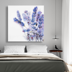 Toile 48 x 48 - Fleurs de lavande à l'aquarelle