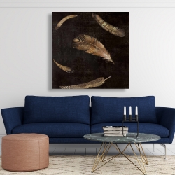 Canvas 48 x 48 - Golden feathers