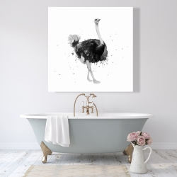 Toile 48 x 48 - Fière autruche