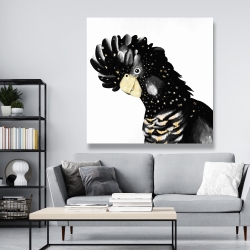 Toile 48 x 48 - Perroquet cacatoès