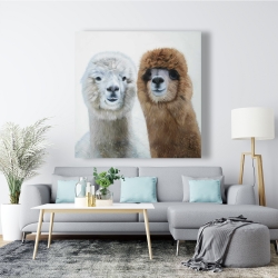 Canvas 48 x 48 - Two lamas