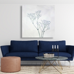 Canvas 48 x 48 - Baby's-breath flowers