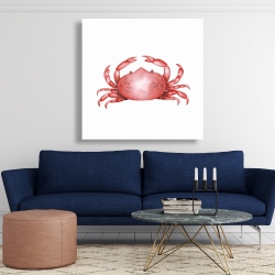 Toile 48 x 48 - Crabe