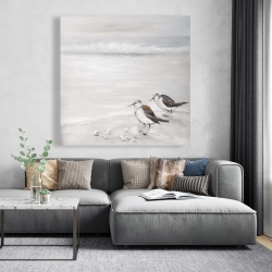 Toile 48 x 48 - Deux oiseaux bécasseau