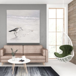 Toile 48 x 48 - Bécasseau semipalmé