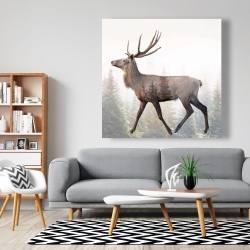 Canvas 48 x 48 - Large plume roe deer