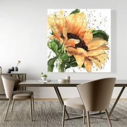 Canvas 48 x 48 - Sunflower in bloom