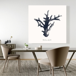 Toile 48 x 48 - Montipora digitata