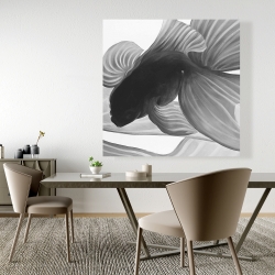 Canvas 48 x 48 - Monochrome two betta
