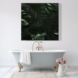 Canvas 48 x 48 - Tropical jungle