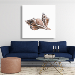 Toile 48 x 48 - Coquillage de conque de cheval neutre