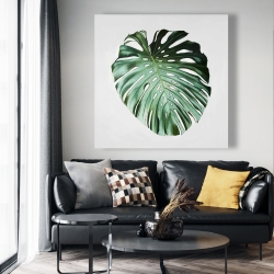 Canvas 48 x 48 - Monstera leaf