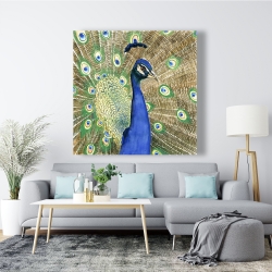 Canvas 48 x 48 - Peacock