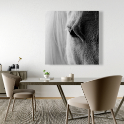 Canvas 48 x 48 - The white horse eye
