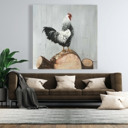 Toile 48 x 48 - Coq wyandotte