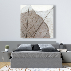 Toile 48 x 48 - Feuilles séchées translucides