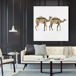 Canvas 48 x 48 - Two abstract dromadars