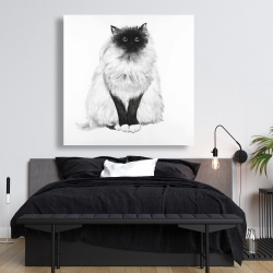 Canvas 48 x 48 - Blue eyes fluffy siamese cat