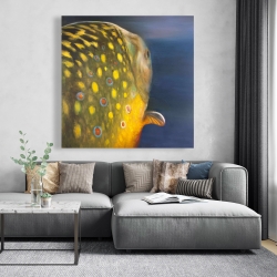 Canvas 48 x 48 - Golden trout fish