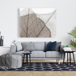 Toile 48 x 60 - Feuilles séchées translucides
