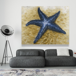 Canvas 48 x 60 - Beautiful starfish