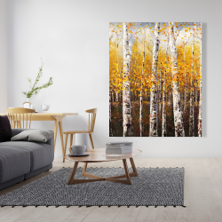 Canvas 48 x 60 - Birches by sunny day