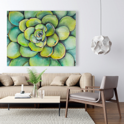Canvas 48 x 60 - Watercolor succulent plant