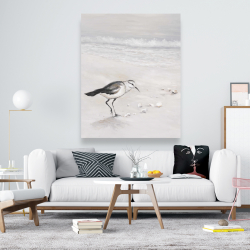 Toile 48 x 60 - Bécasseau semipalmé